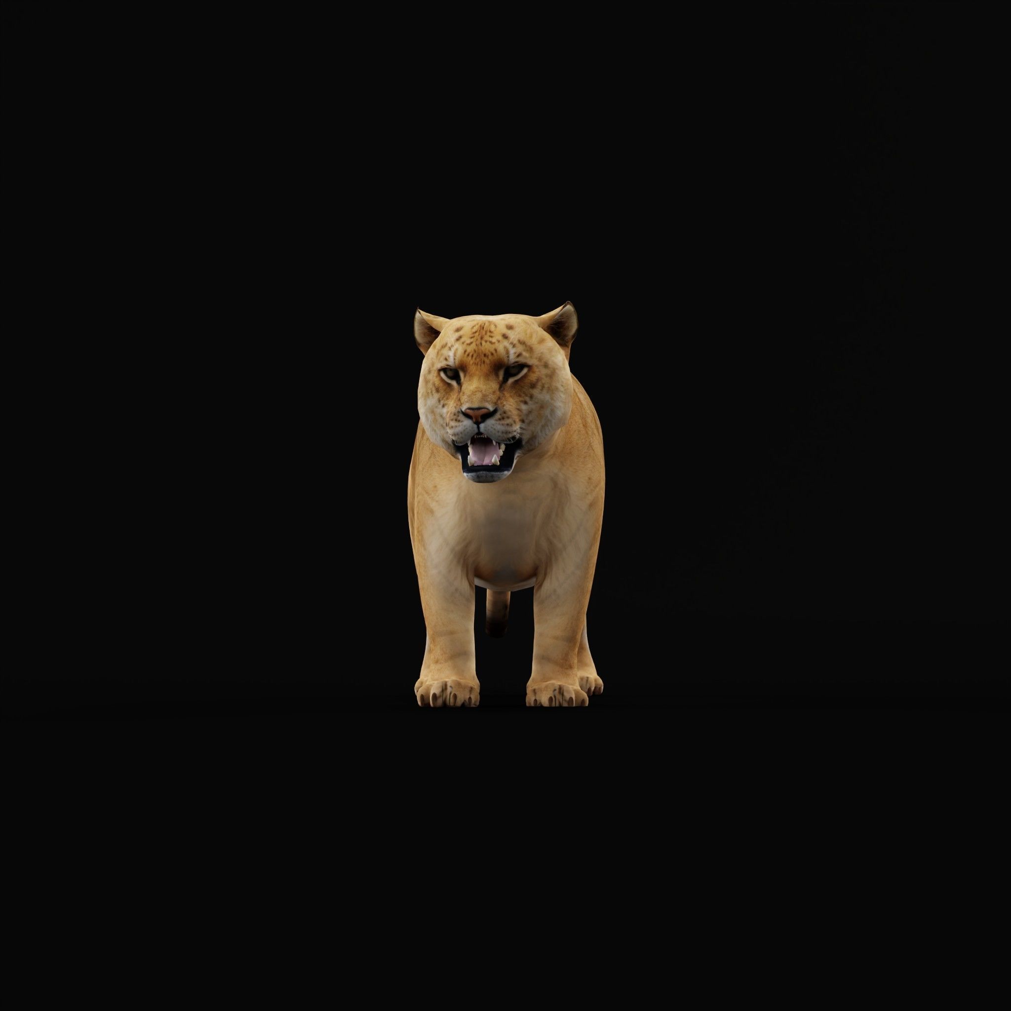 Liger Hybrid Feline 3D model_25