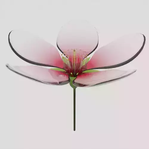 Glass Cherry Blossom