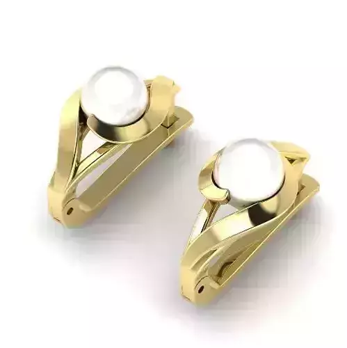 Earrings with pearls N01891