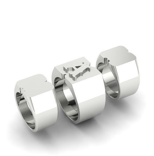 Rings N01904 3D print model_1