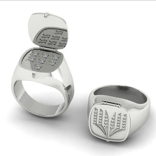 Ring N01901 3D print model_1