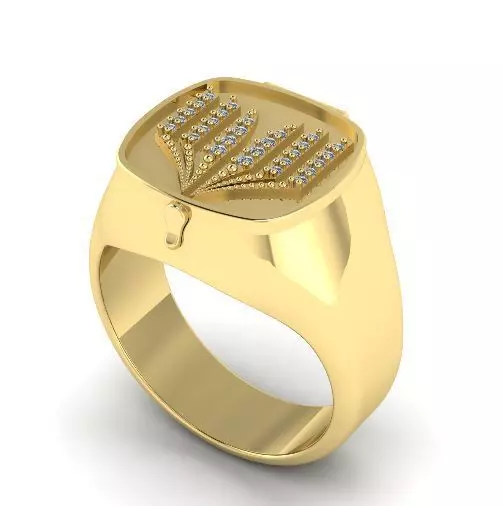 Ring N01901 3D print model_0