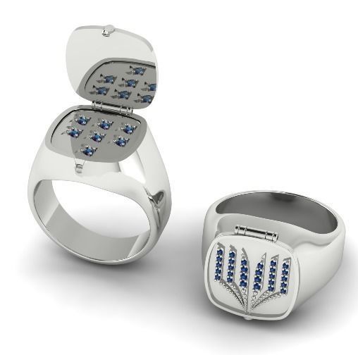 Ring N01901 3D print model_2