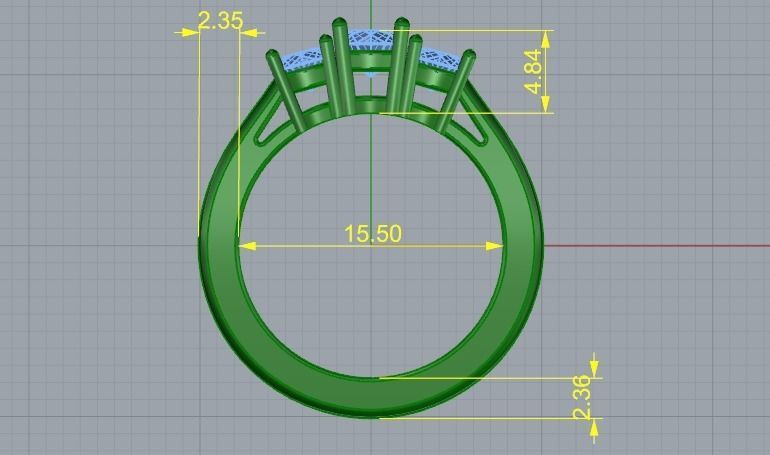 Ring N01900 3D print model_6
