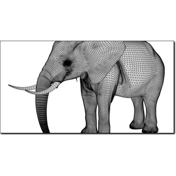 Elephant Studio Max 3D model_2