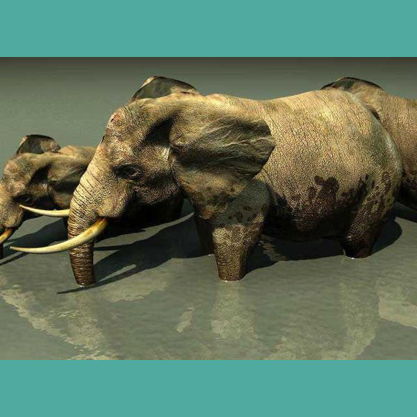 Elephant Studio Max 3D model_3