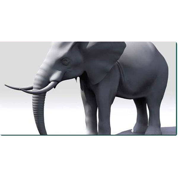 Elephant Studio Max 3D model_1