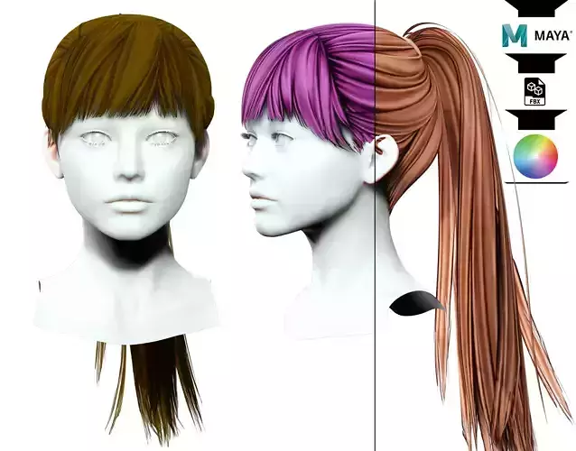 Female Hair - High Ponytail 