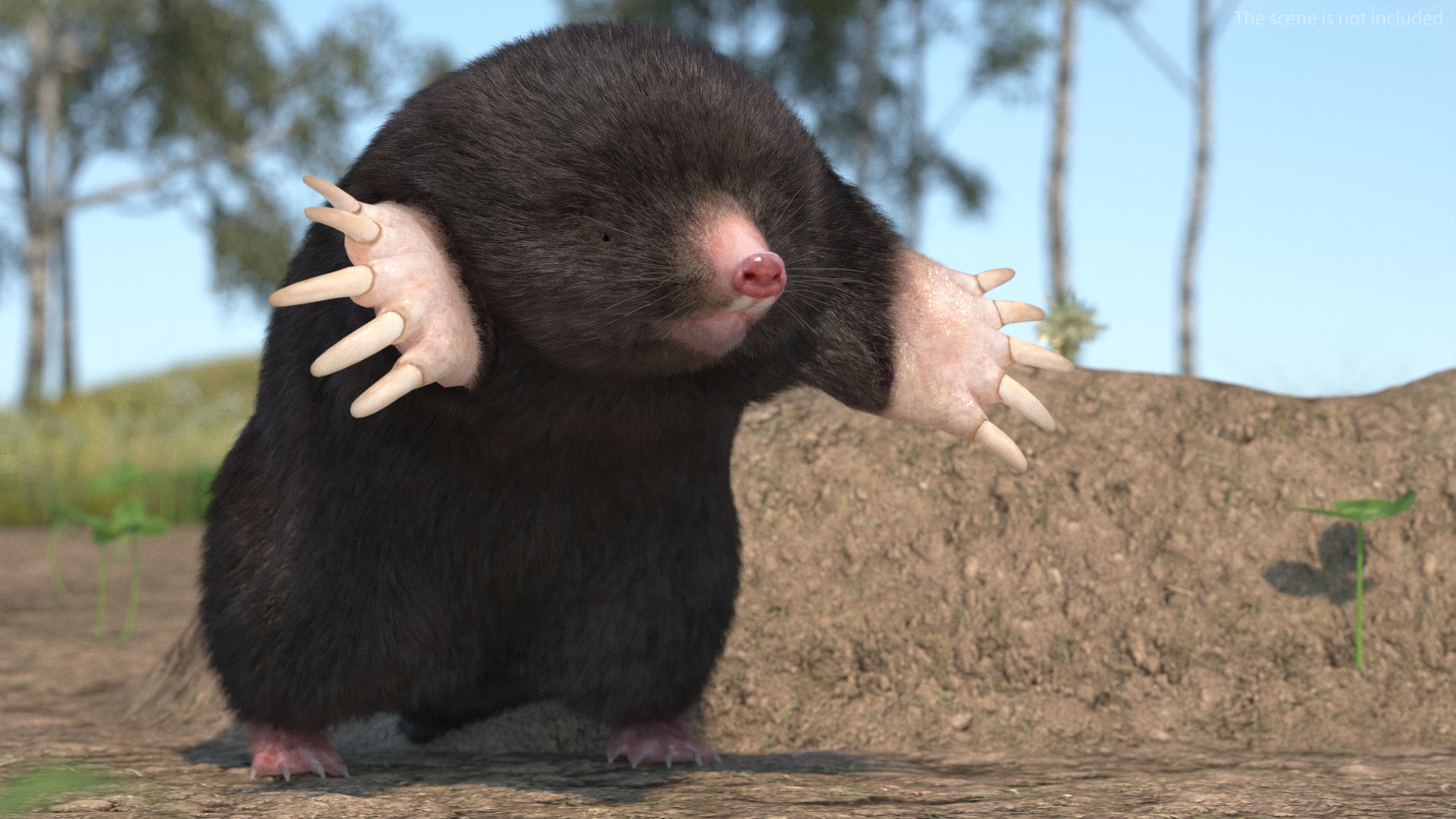 Burrowing Mole Fur 3D model