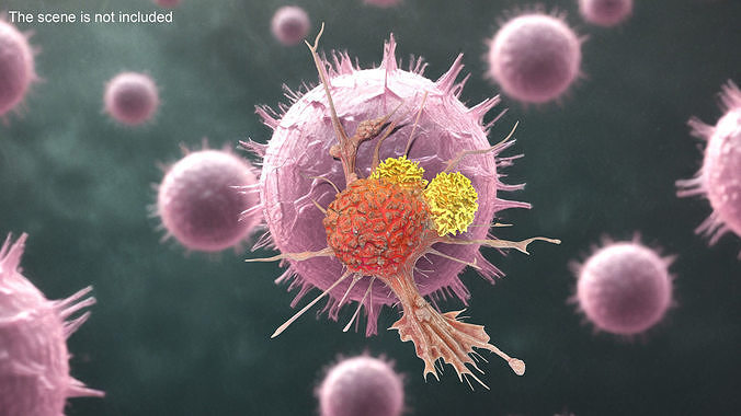 Human Cancer Cell with 2 Lymphocyte