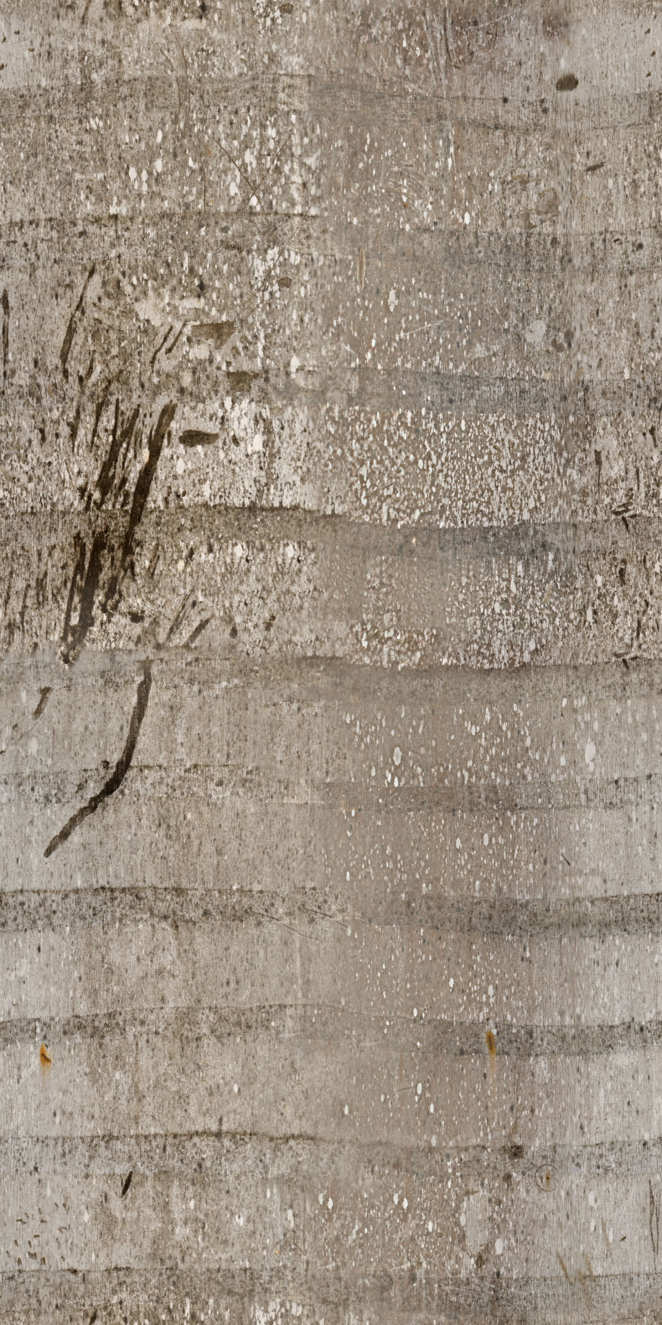 Arvores Palmeiras  3D model_4