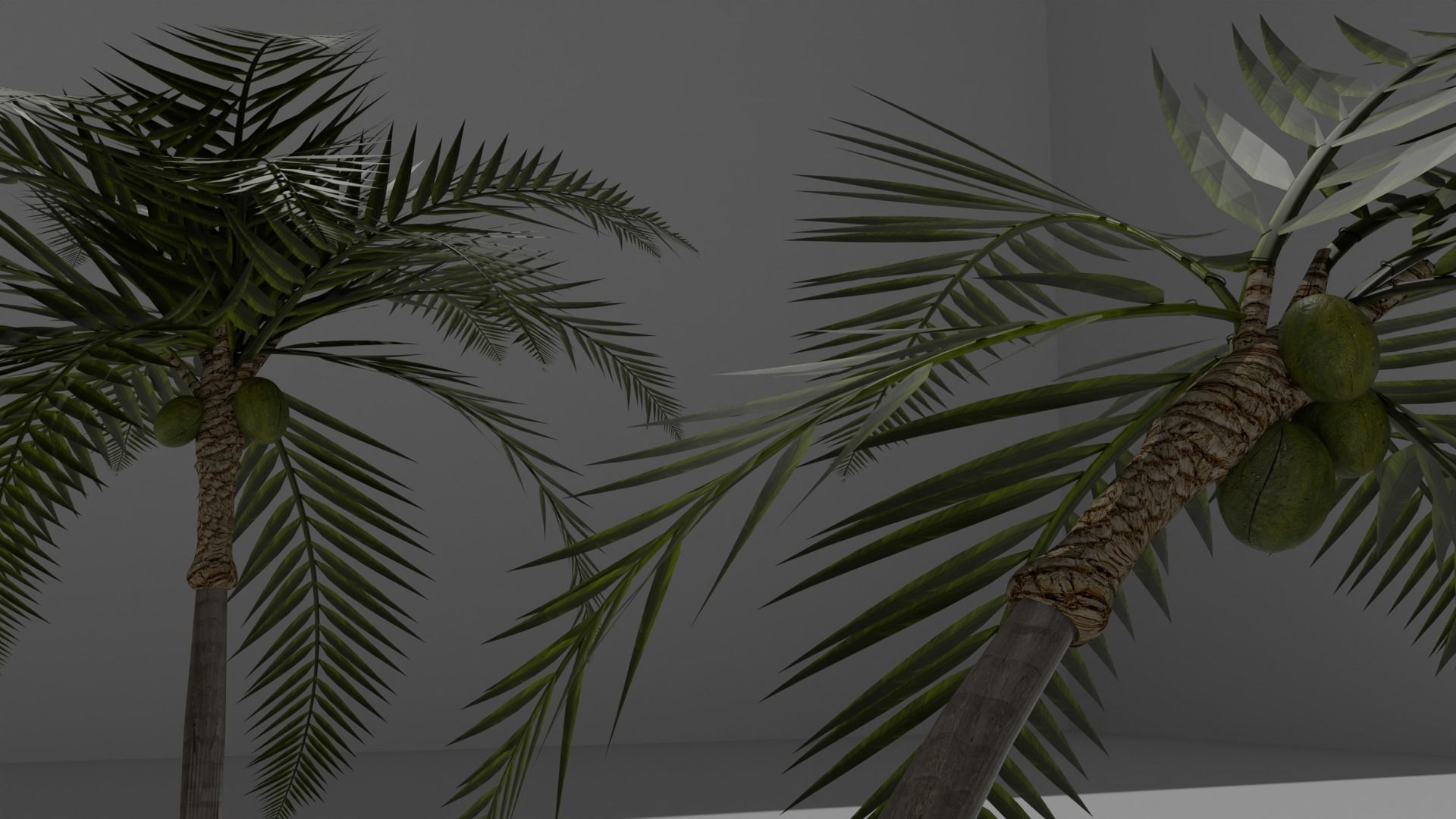 Arvores Palmeiras  3D model_1