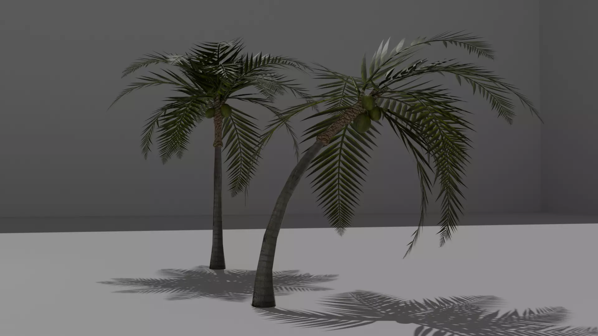 Arvores Palmeiras  3D model_0