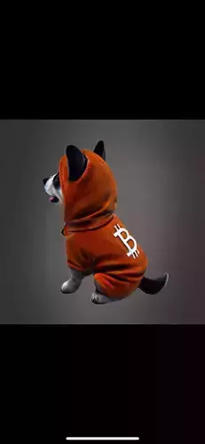 Bitcoin puppy dog inu 3D print model