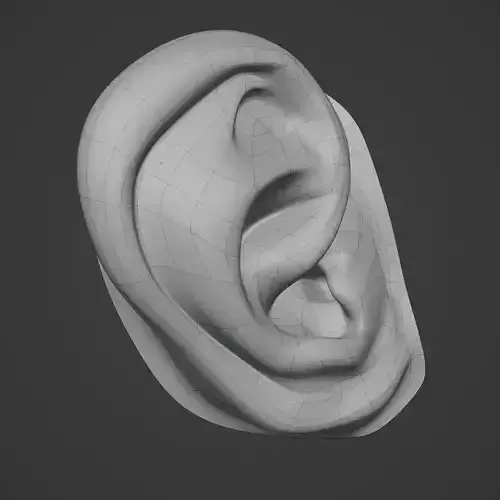 Stylized Ear Low Poly 3D model