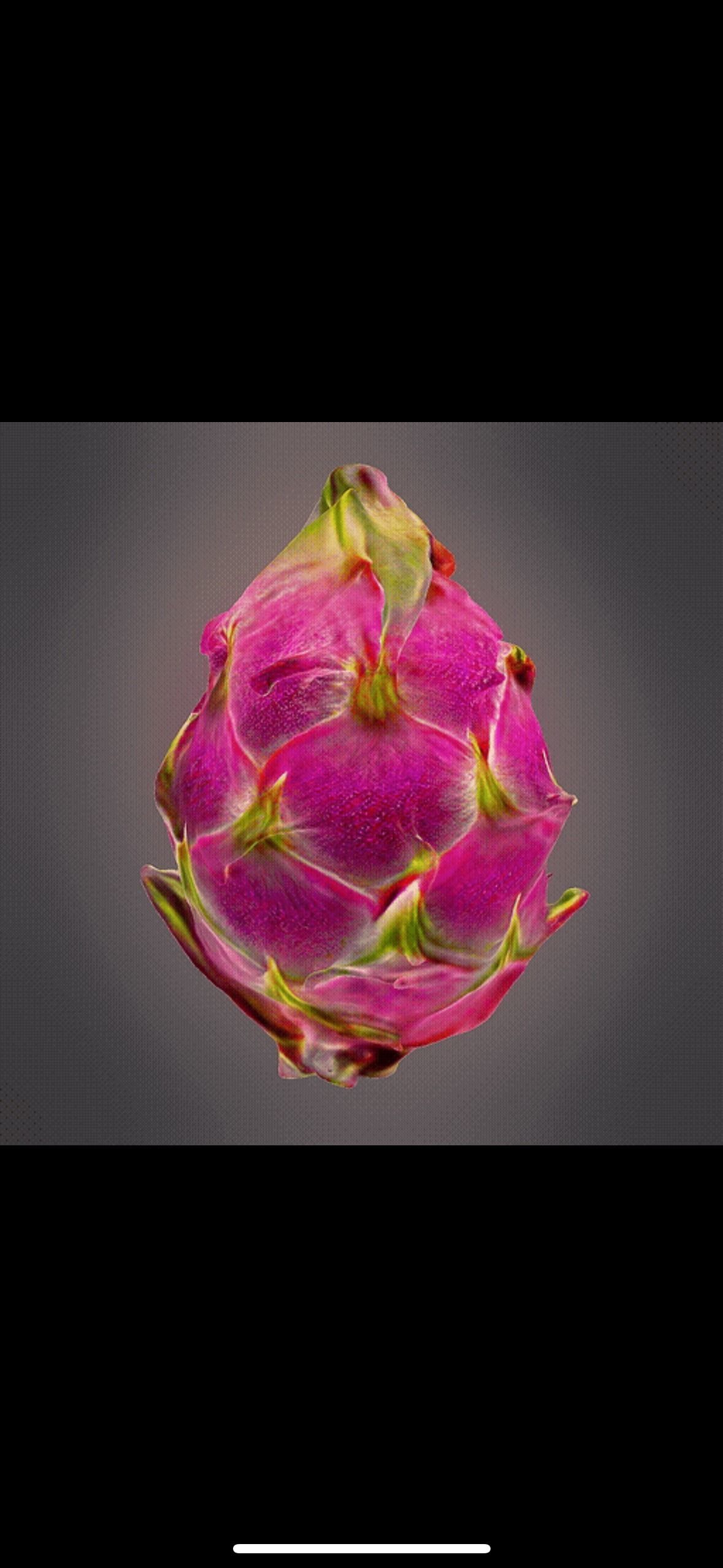 Dragon fruit 3D print model_3