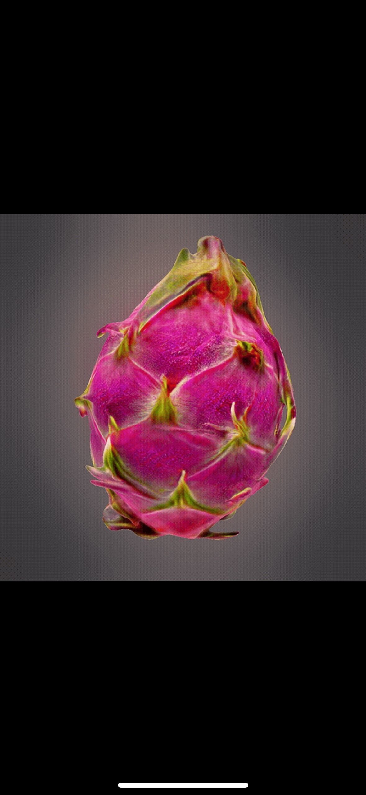Dragon fruit 3D print model_2