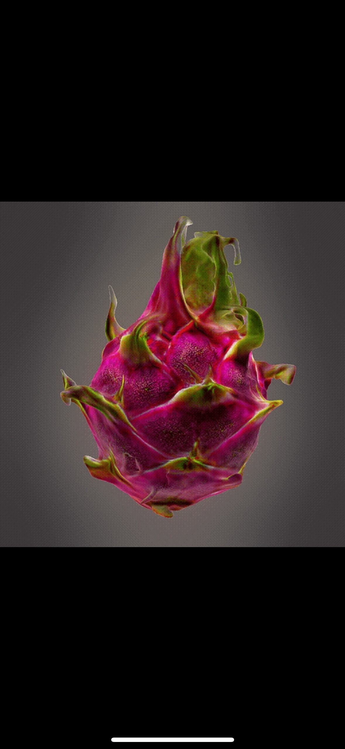 Dragon fruit 3D print model_3