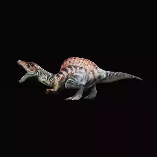 Spinosaurus Baby Dinosaur