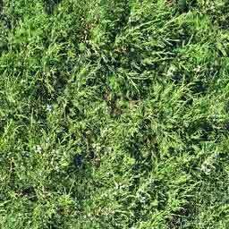 Gas Station 3D model_46