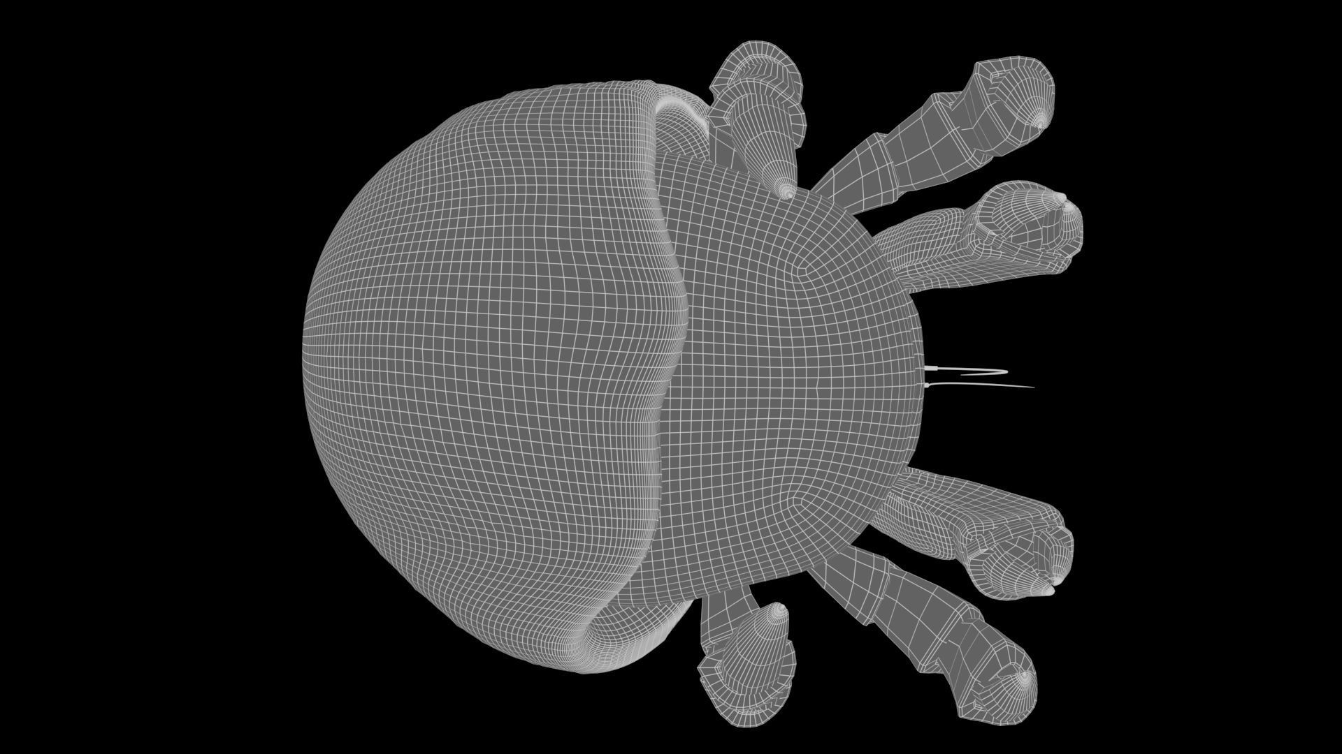 Hrrmit crab 3D Model 3D model_28