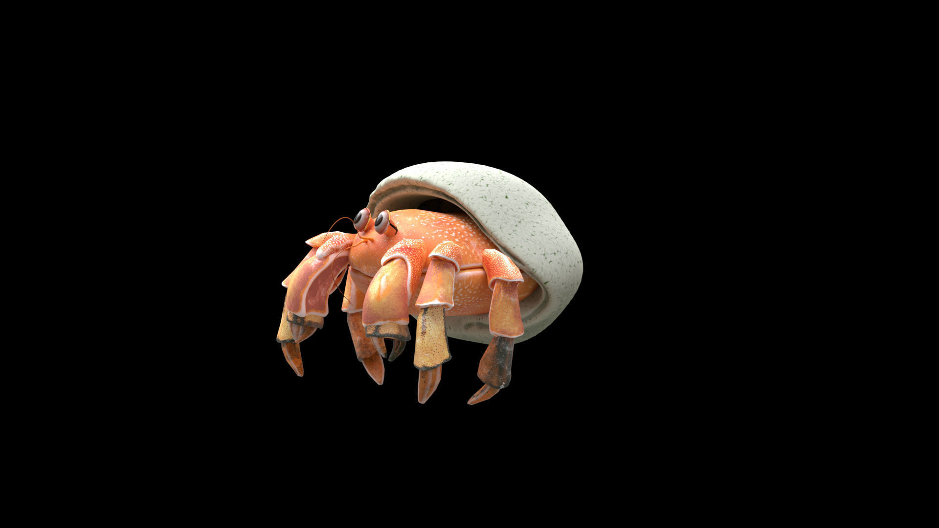 Hrrmit crab 3D Model 3D model_25