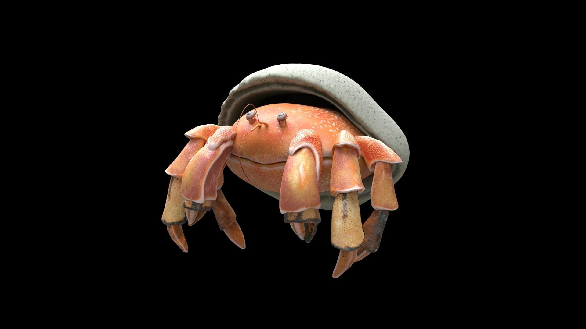 Hrrmit crab 3D Model 3D model_3