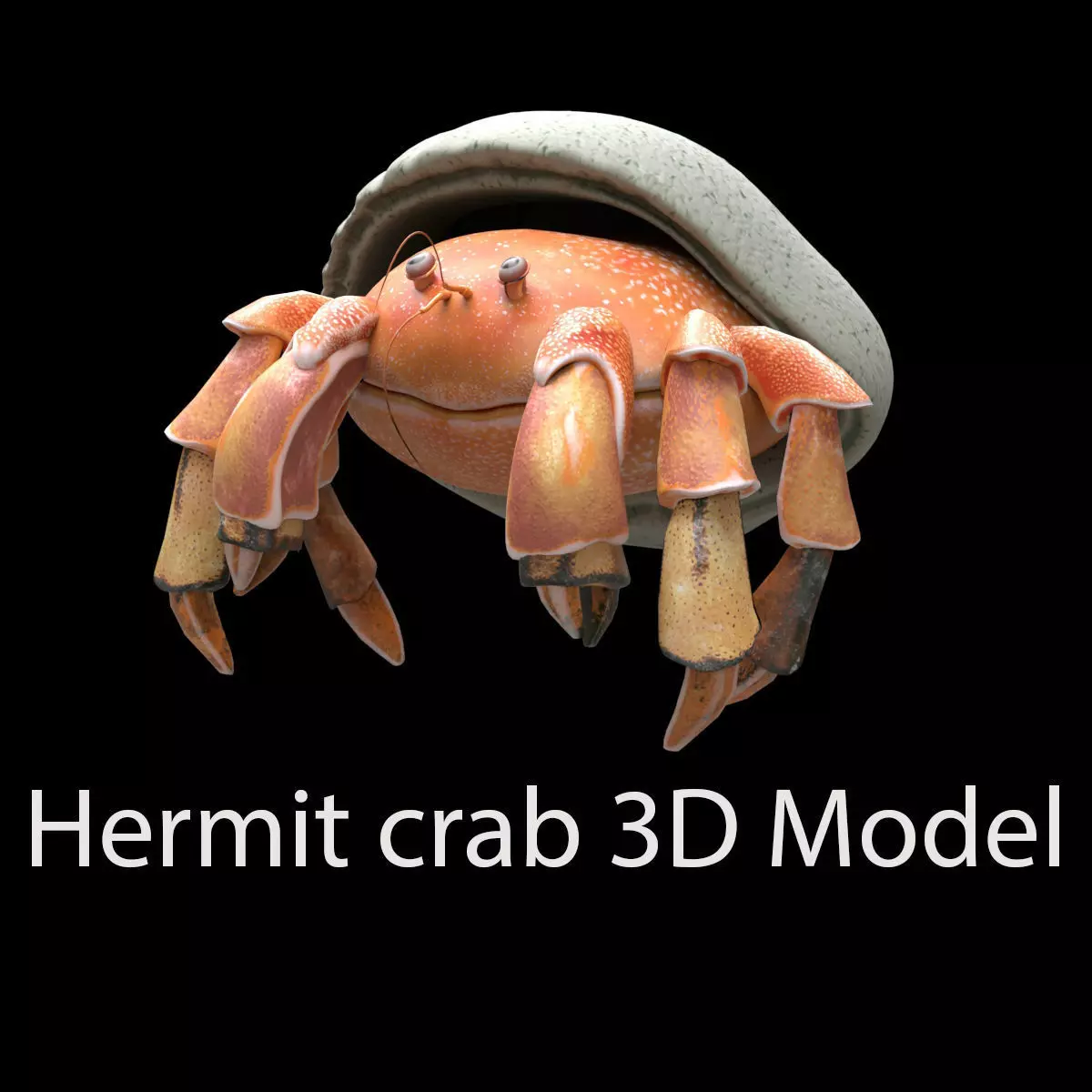 Hrrmit crab 3D Model 3D model_0