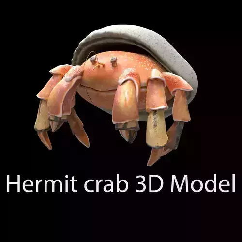 Hrrmit crab 3D Model 3D model