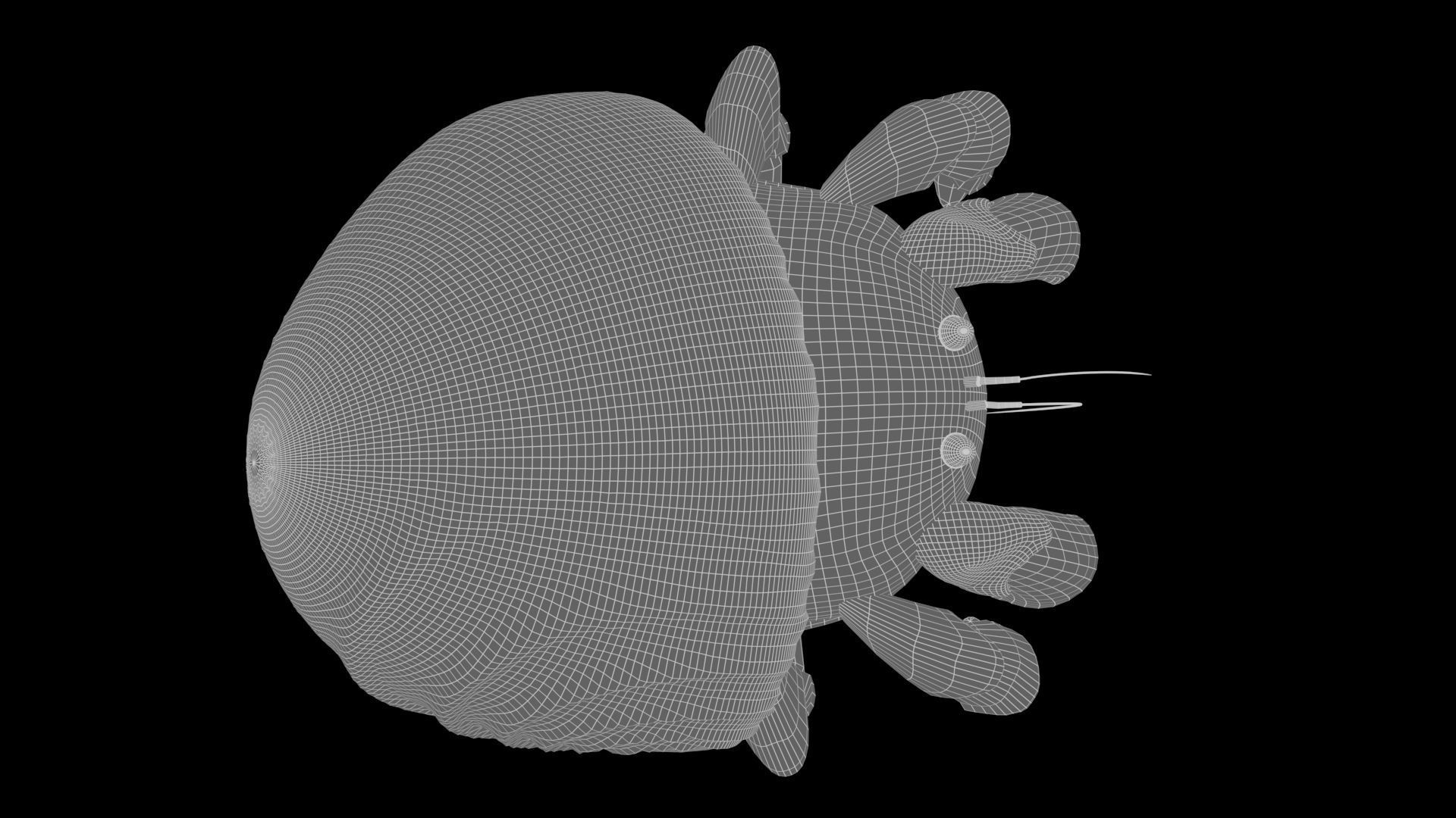 Hrrmit crab 3D Model 3D model_24