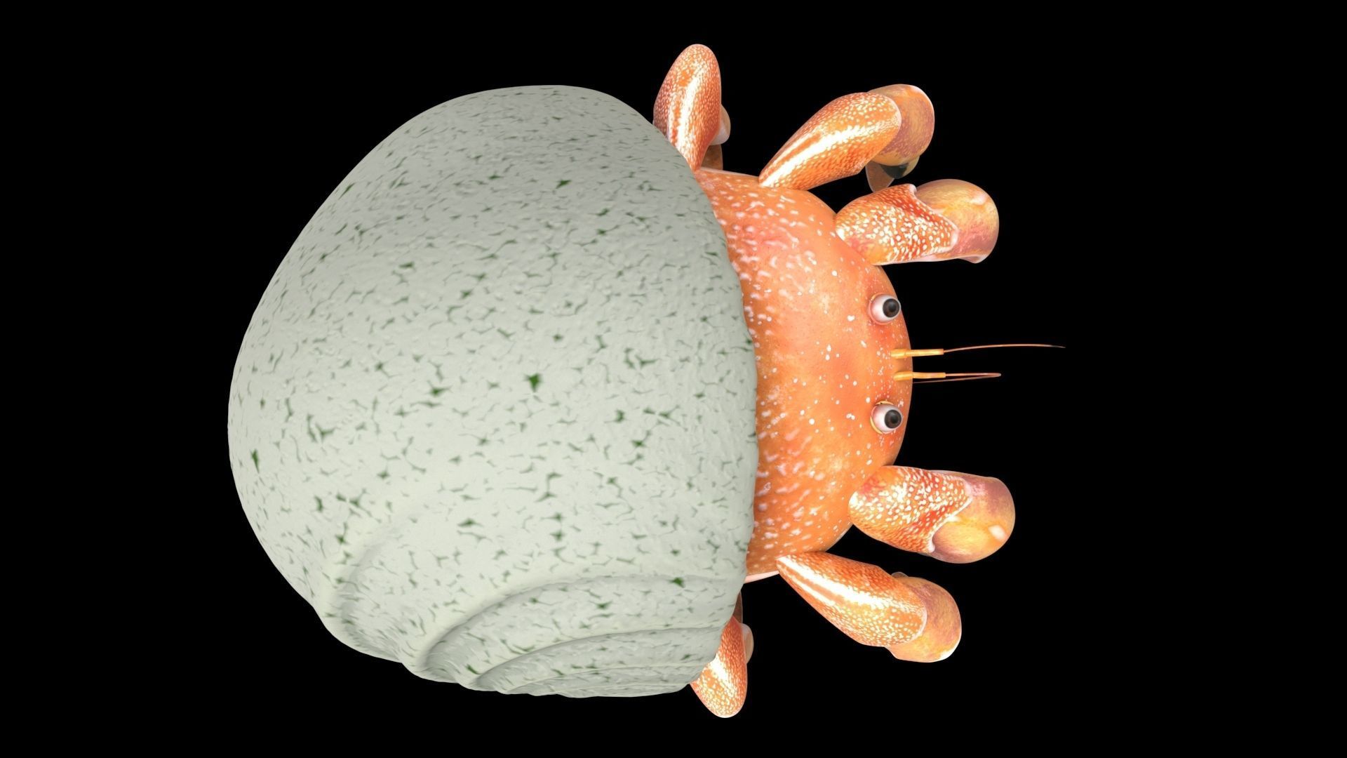 Hrrmit crab 3D Model 3D model_22