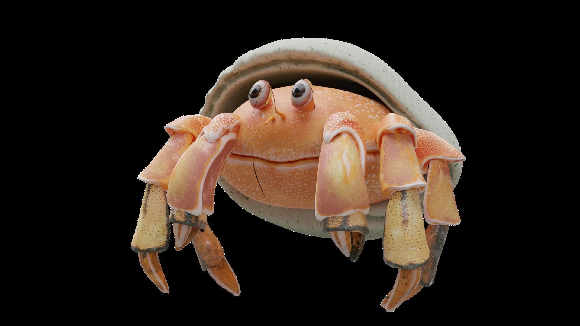 Hrrmit crab 3D Model 3D model_1