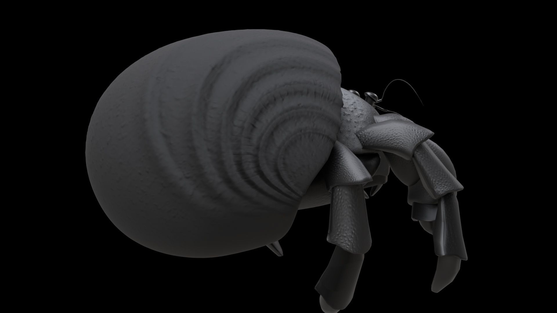 Hrrmit crab 3D Model 3D model_29