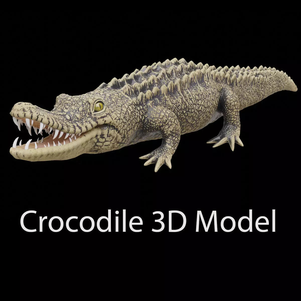 crocodile 3d model 3D model_0