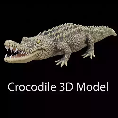 crocodile 3d model