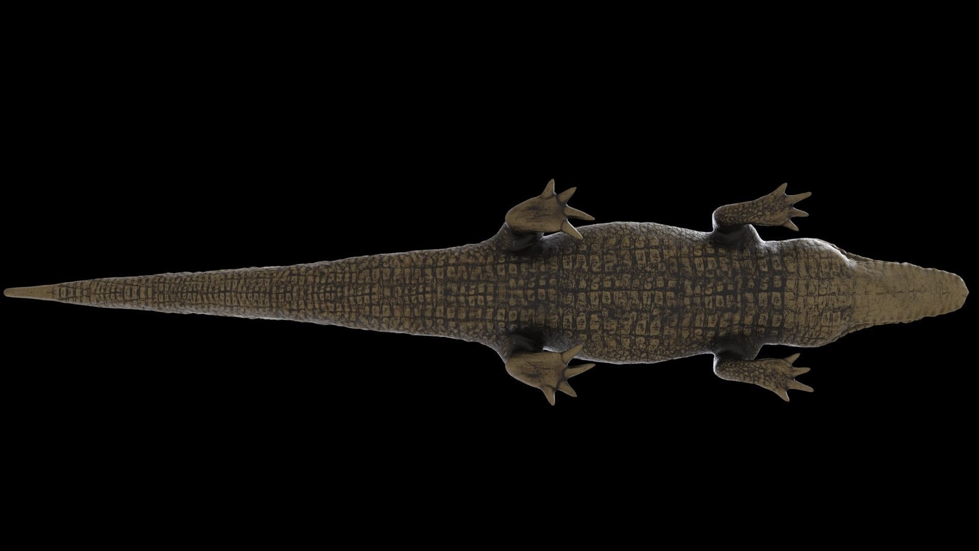crocodile 3d model 3D model_19