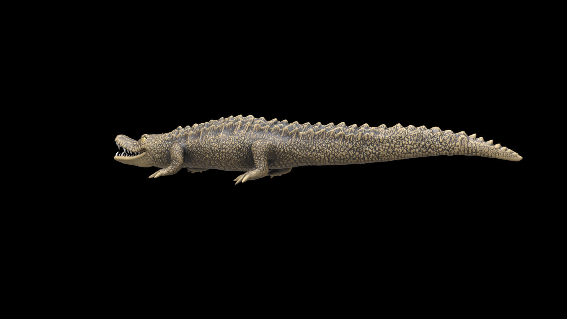 crocodile 3d model 3D model_15