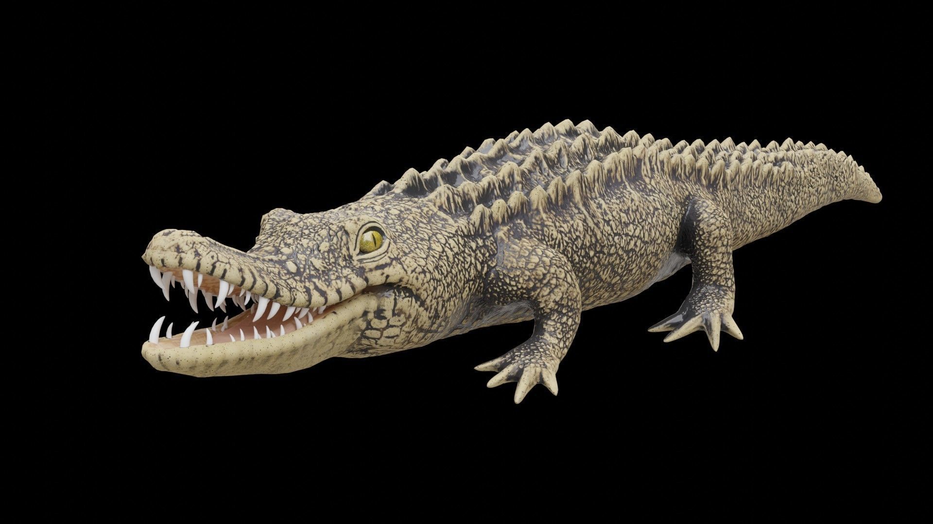 crocodile 3d model 3D model_4