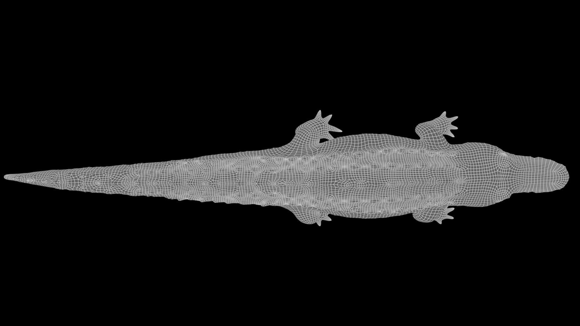 crocodile 3d model 3D model_22