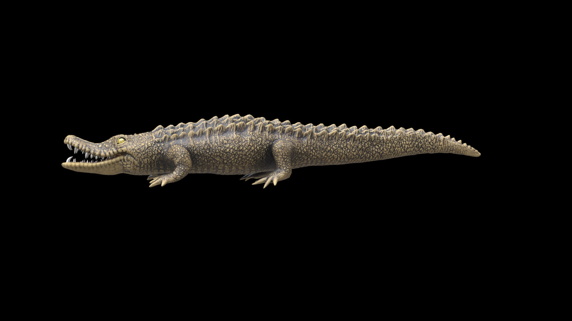 crocodile 3d model 3D model_16