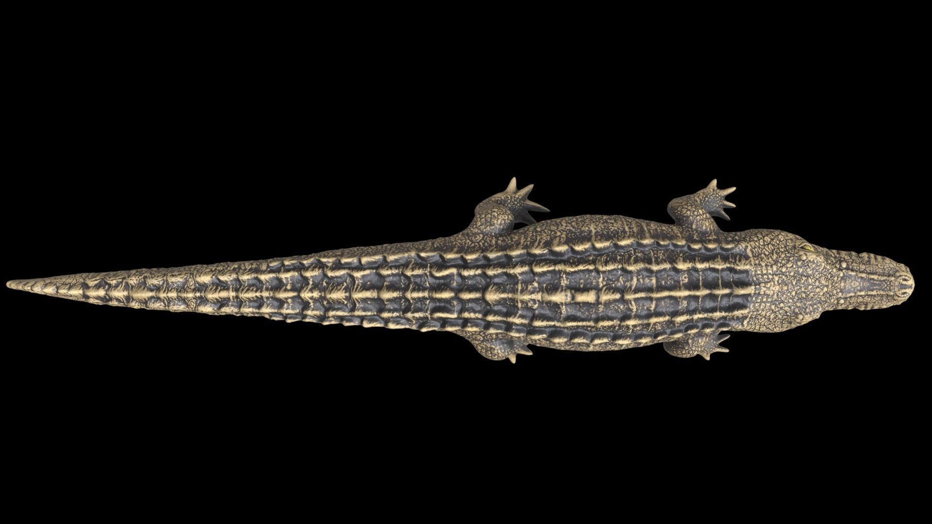 crocodile 3d model 3D model_20