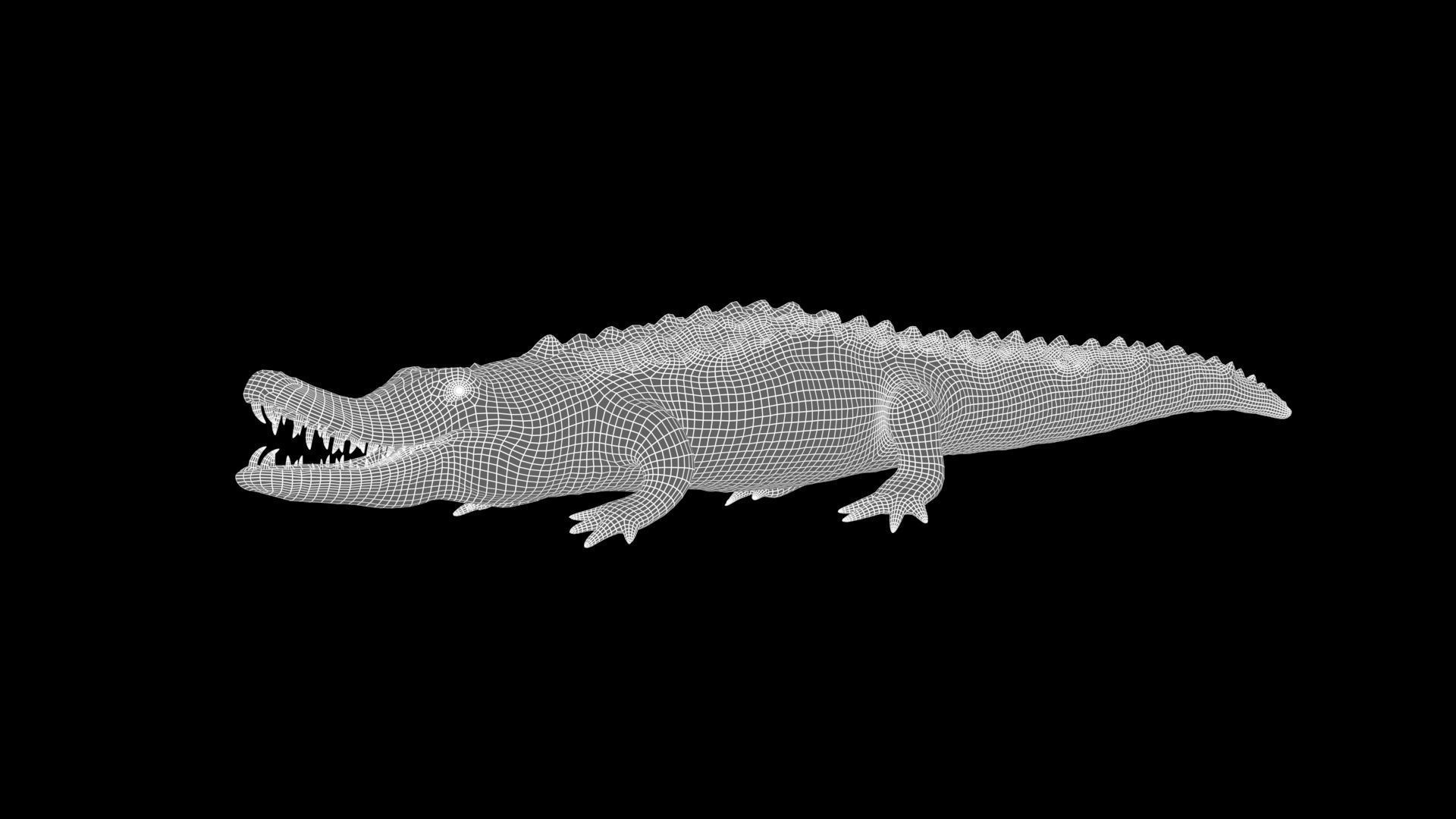 crocodile 3d model 3D model_17