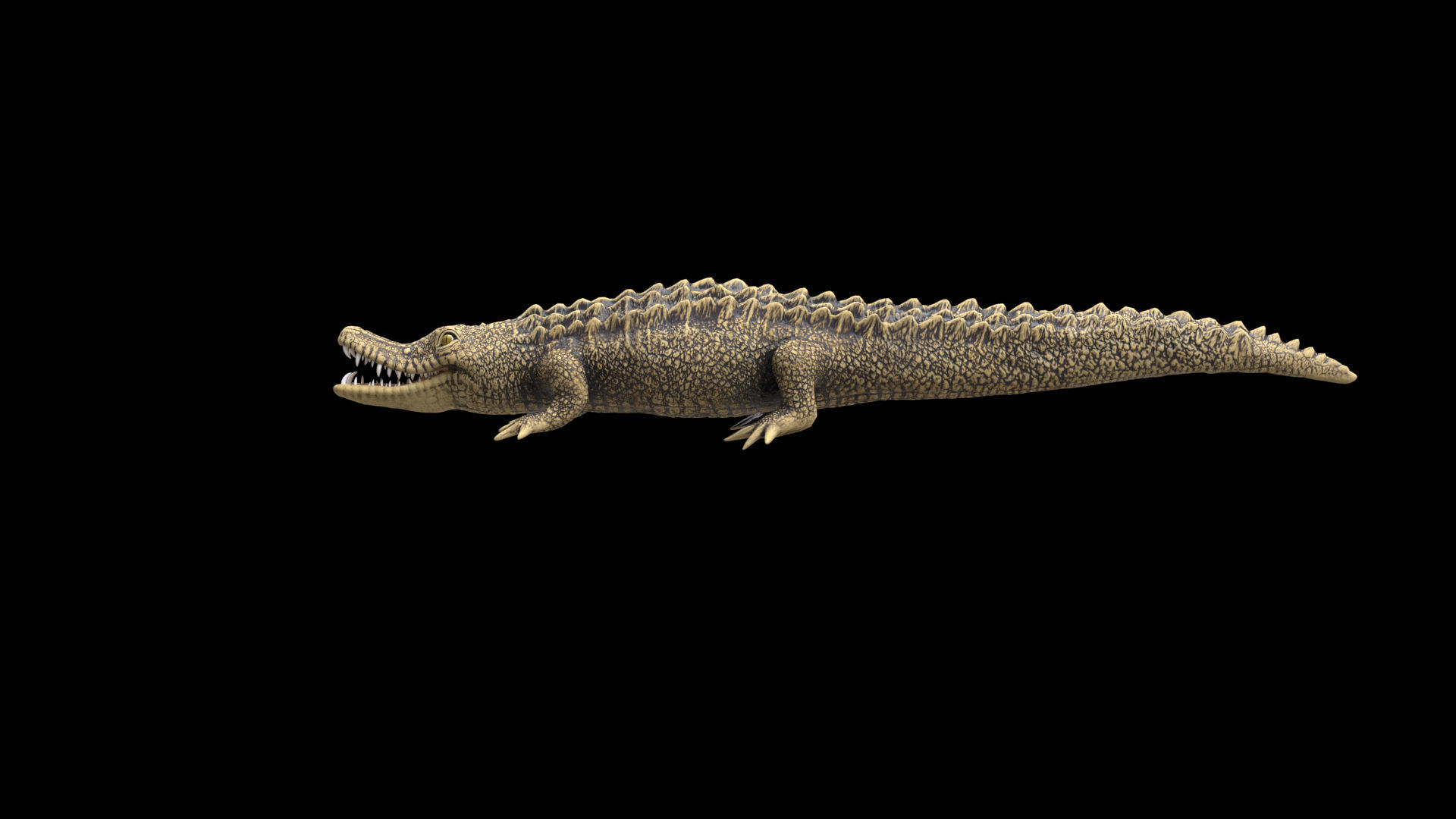 crocodile 3d model 3D model_7