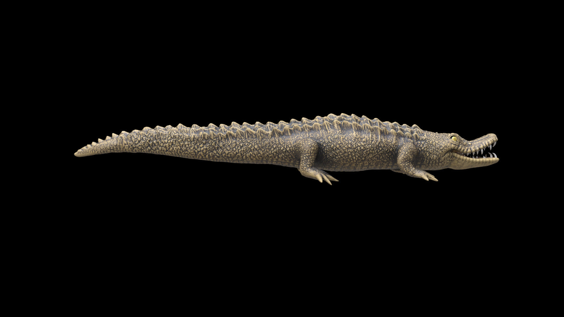 crocodile 3d model 3D model_14