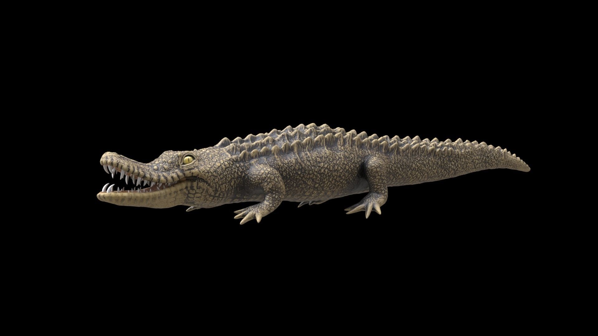 crocodile 3d model 3D model_11