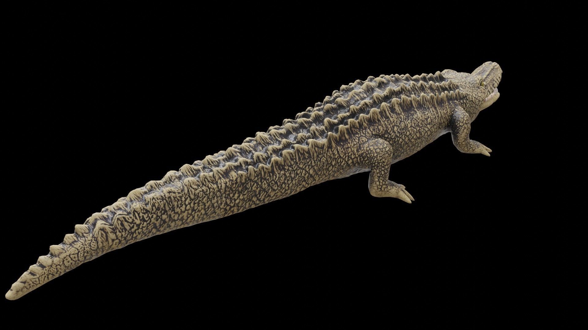 crocodile 3d model 3D model_5