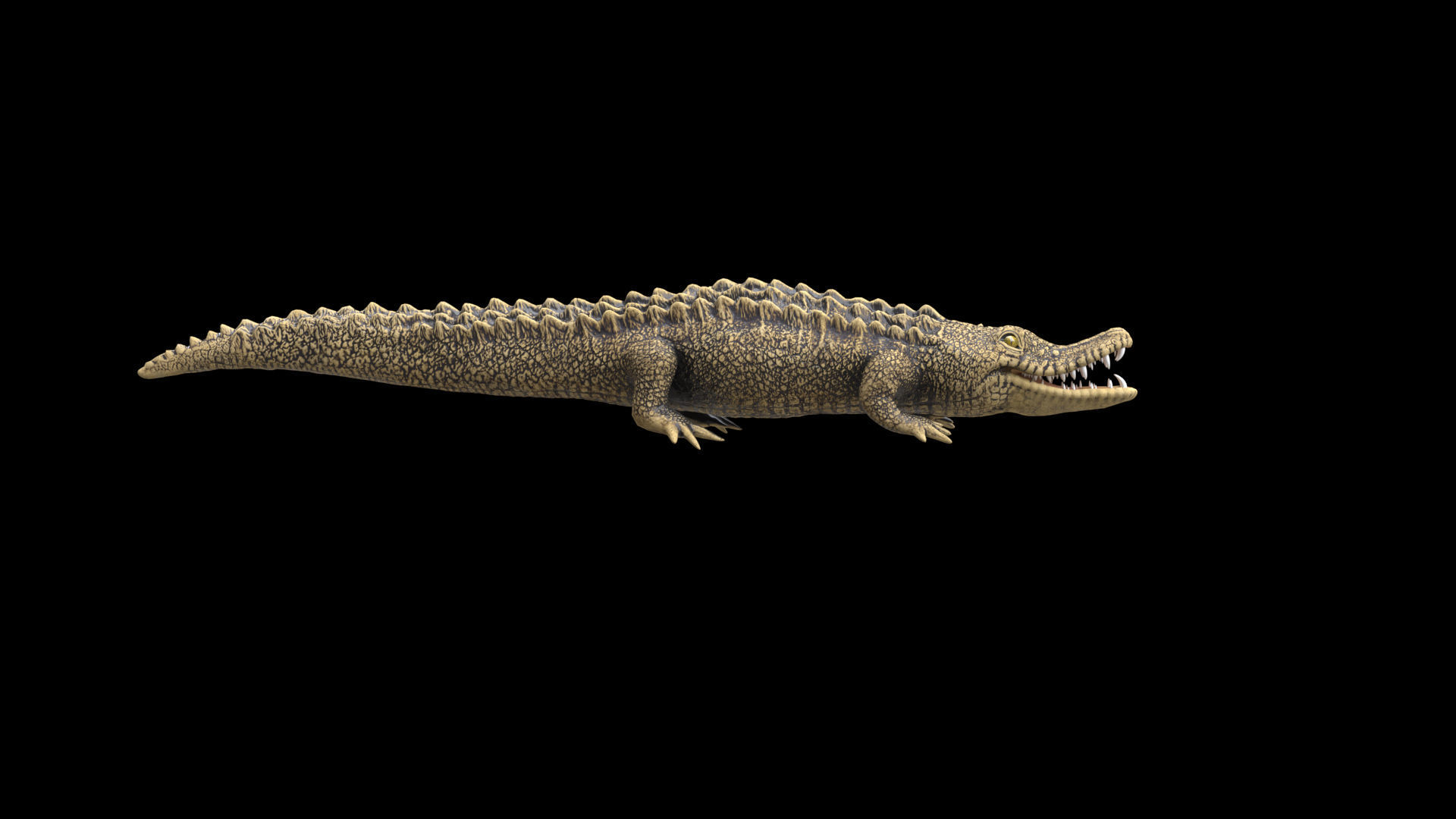 crocodile 3d model 3D model_8