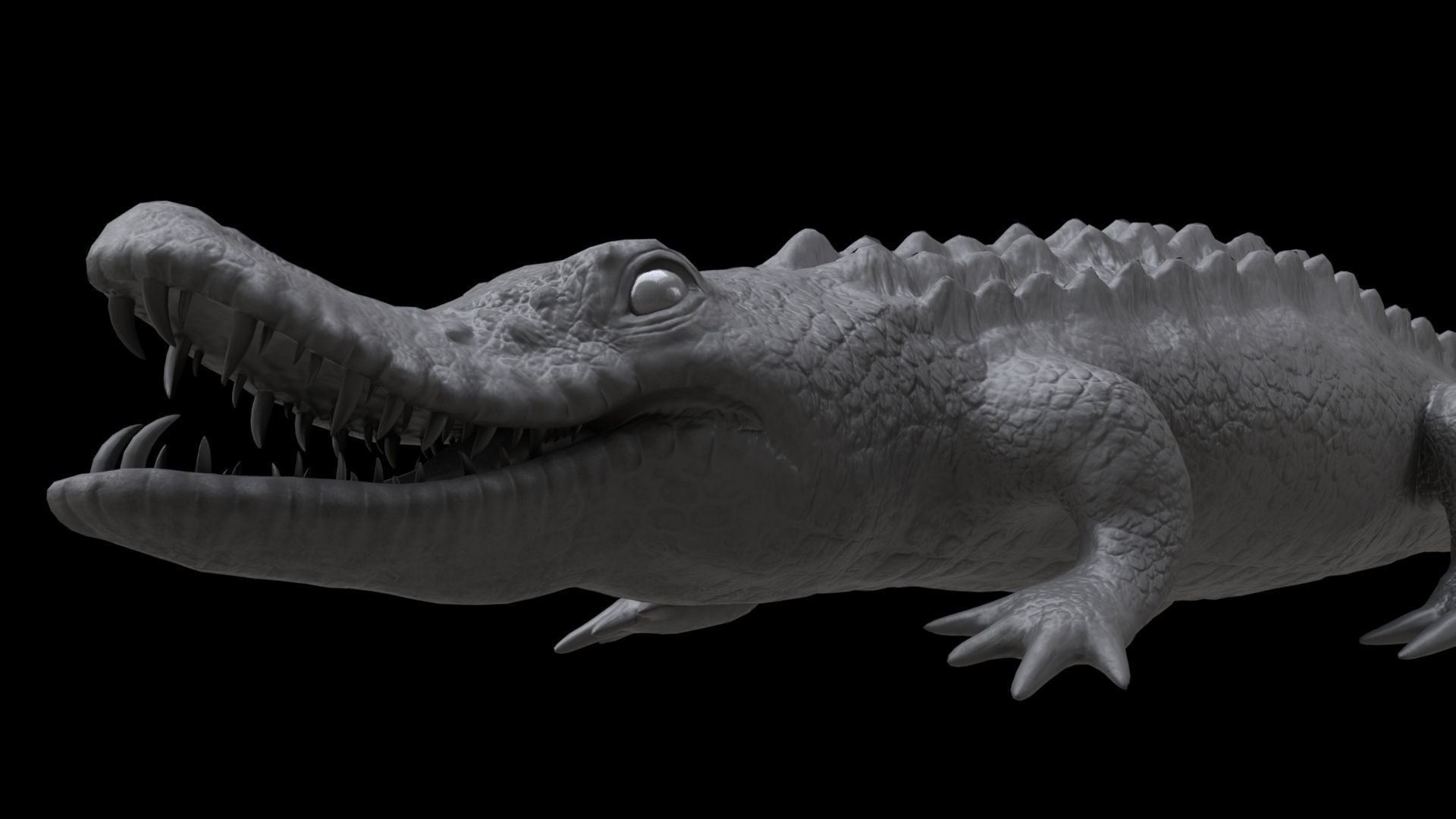 crocodile 3d model 3D model_23