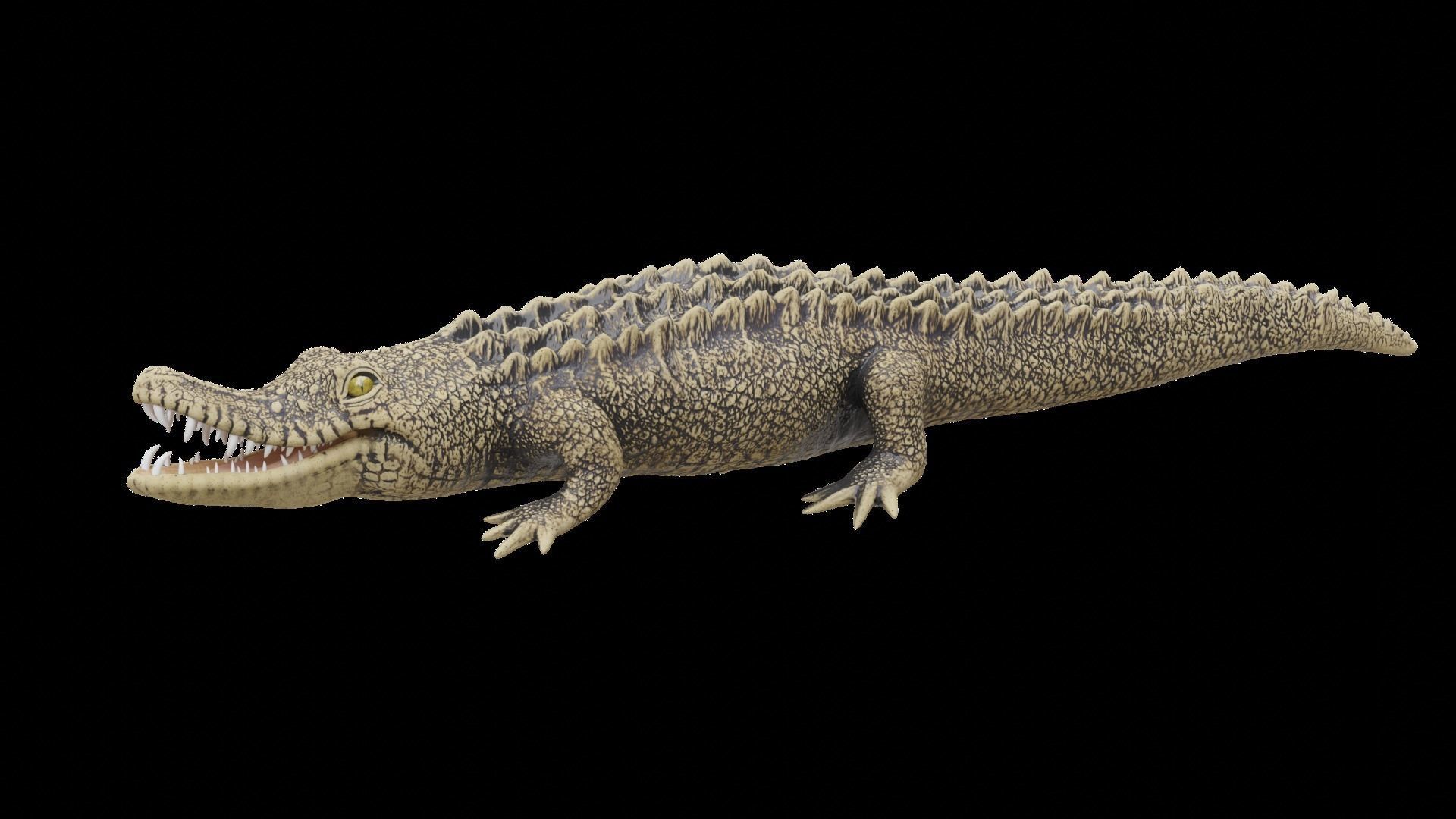 crocodile 3d model 3D model_1