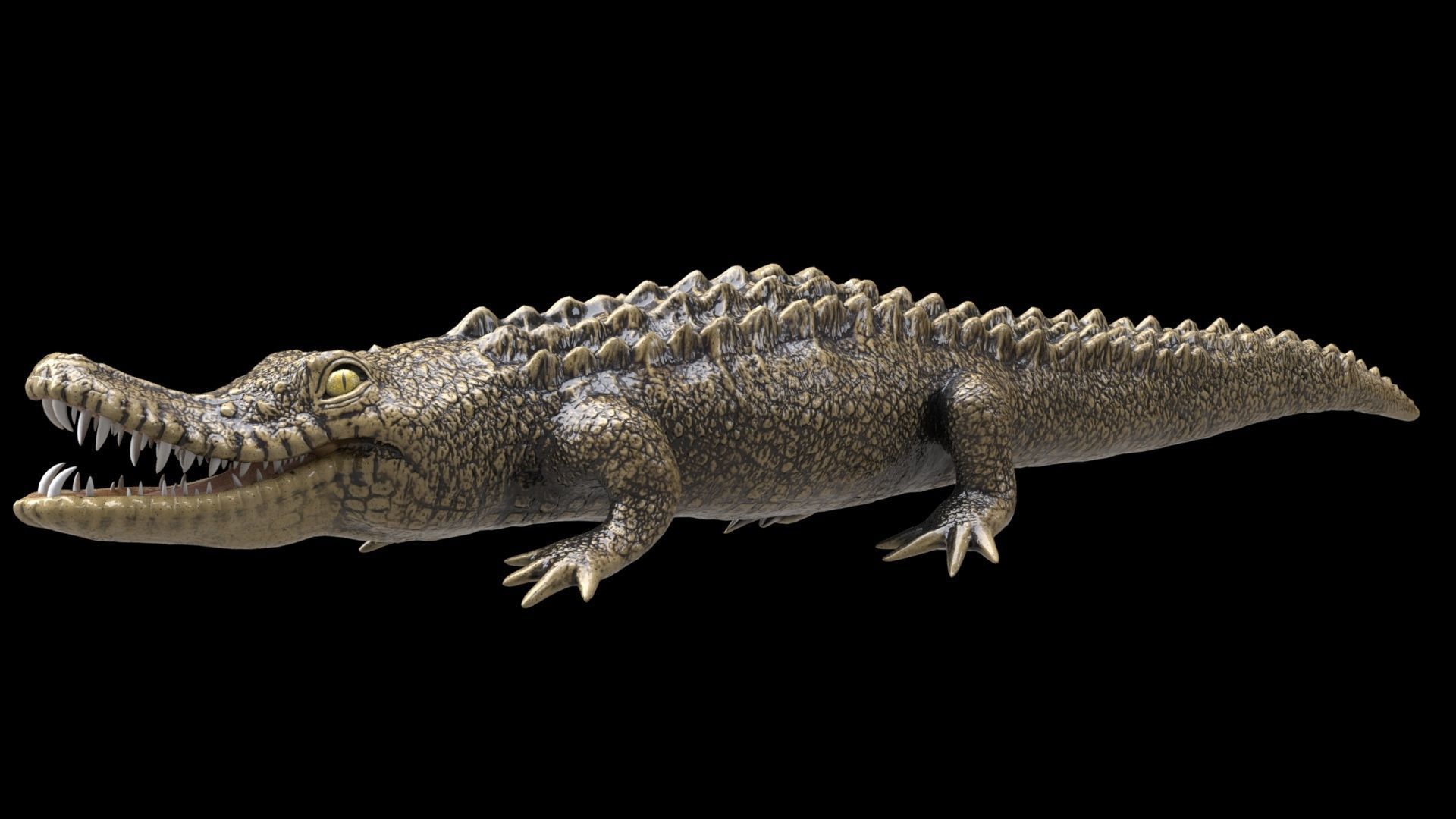 crocodile 3d model 3D model_21